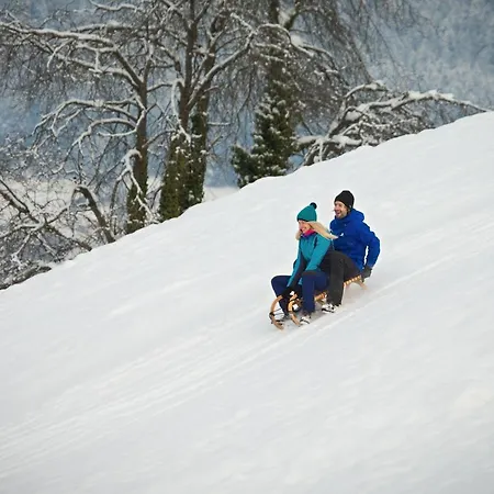 Holiday home Vomlandl Lofts & Leogang