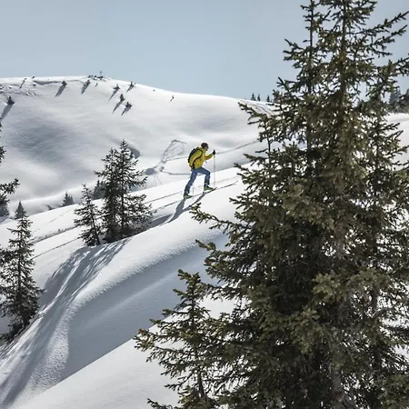 Σπίτι διακοπών Vomlandl Lofts & *