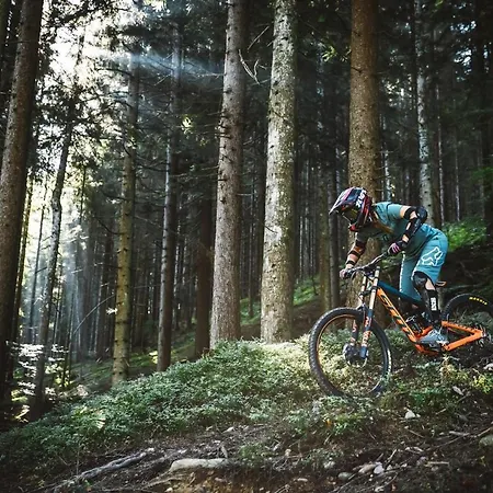 Σπίτι διακοπών Vomlandl Lofts & *