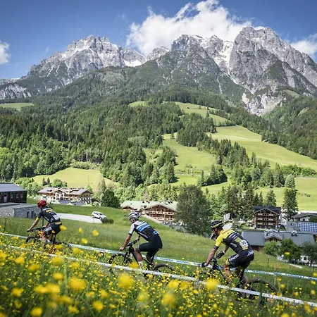 Vomlandl Lofts & * Leogang