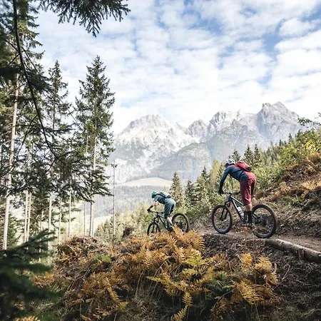 Vomlandl Lofts & * Leogang