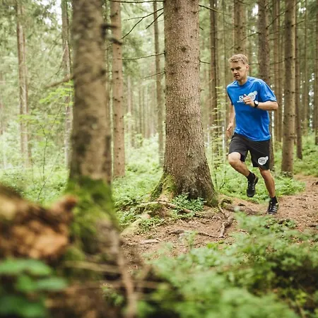 Vomlandl Lofts & Σπίτι διακοπών Leogang