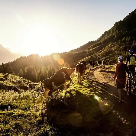 Σπίτι διακοπών Vomlandl Lofts & *