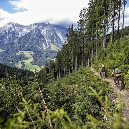 Vomlandl Lofts & Σπίτι διακοπών *